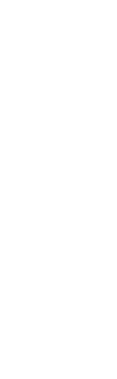 decorative shape
